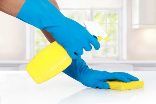 Carpet cleaning technician preparing equipment in Wembley Park