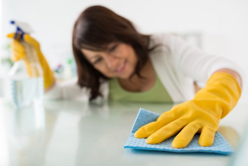 Staff training session for professional carpet cleaners