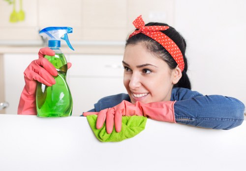 Deep cleaning equipment used for upholstery care