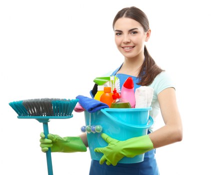 Carpet cleaning complaint being investigated with service notes