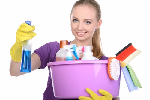 Leather sofa care and conditioning during upholstery cleaning