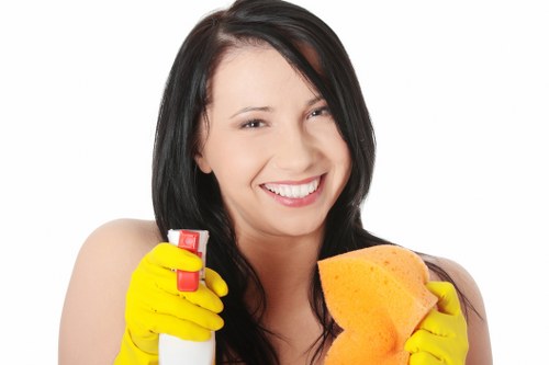 Clean and fresh carpet result from Wembley Park carpet cleaning